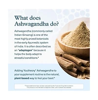 Youtheory ashwagandha Capsule, Helps Maintain Normal cortisol Level, Helps Reduce Stress, 60 Counts bundle of 2