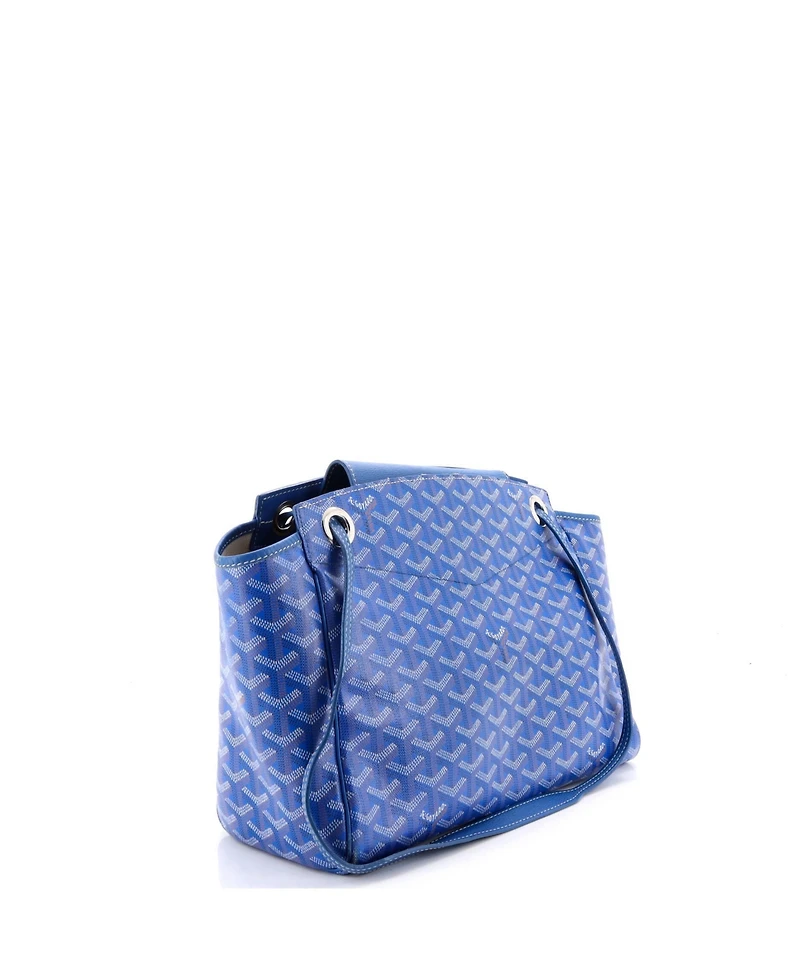 Pre-Owned Goyard Pm Rouette Bag Coated Canvas