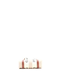 Pre-Owned Chloe Small Woody Convertible Tote Canvas with Leather