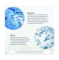 Youtheory Spore Probiotic Gut and Digestive Support Contains Bacillus Coagulans Dairy, Soy, and Gluten Free 60 Gummies