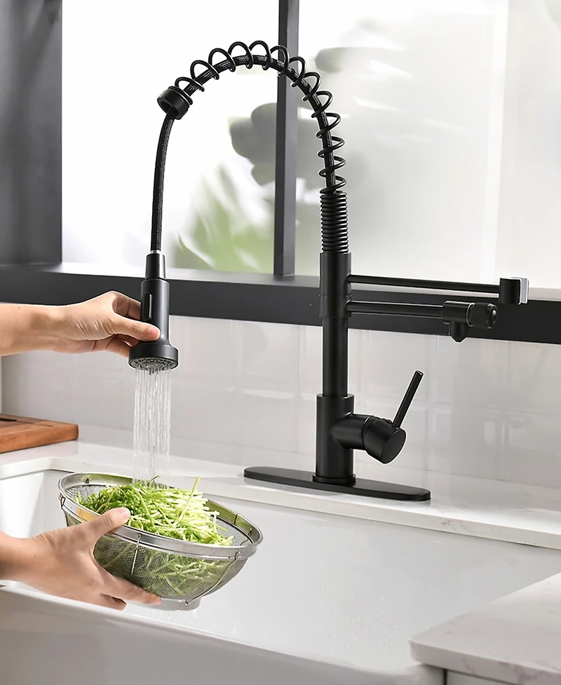 Thirtypeachy Single Handle Pull-Down Kitchen Faucet with Drinking Water Tap, 4-Mode Sprayer and Roll-Up Drying Rack