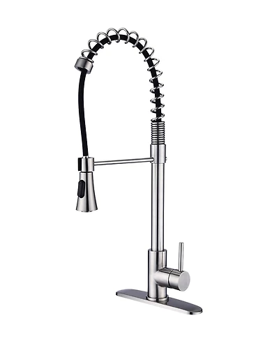 Thirtypeachy Single Handle High Arc Pull-Down Kitchen Faucet with 2-Function Sprayer and 360degree(s) Swivel