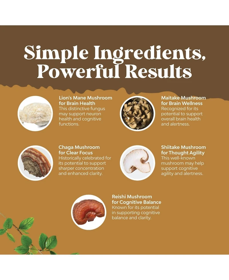 Nature's Craft Lion's Mane Complex Capsules, Brain Booster Nootropic Supplement with Chaga Maitake Shiitake and Reishi, 60 Count