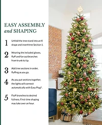 Balsam Hill 7 ft Pre-Lit Silverado Slim Tree