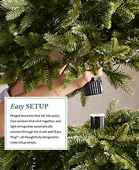 Balsam Hill 9 ft Pre-Lit Classic Spruce Tree