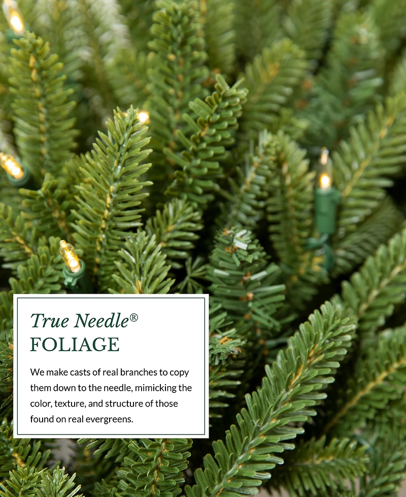 Balsam Hill 6 ft Fraser Fir Pre-Lit Garland