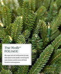 Balsam Hill 6 ft Fraser Fir Pre-Lit Garland