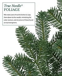Balsam Hill 6.5' Pre-Lit Fir Ledc Artificial Christmas Tree