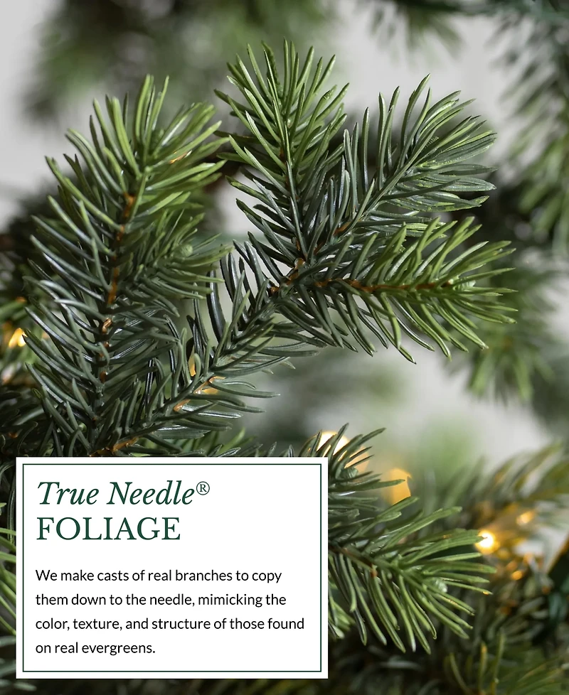 Balsam Hill Yukon Spruce Slender 7.5' Tree