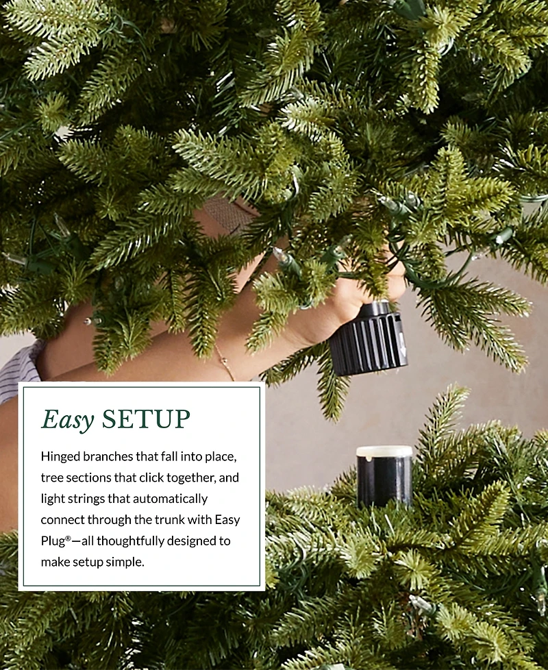 Balsam Hill Frosted Fir 9' Tree