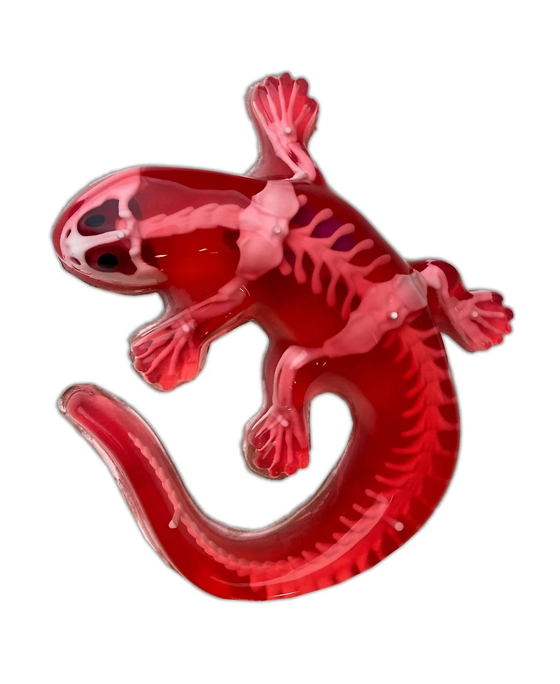 Dissect-It Salamander Anatomy Lab Toy, Ages 6+