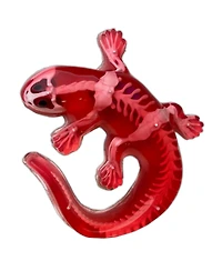 Dissect-It Salamander Anatomy Lab Toy, Ages 6+