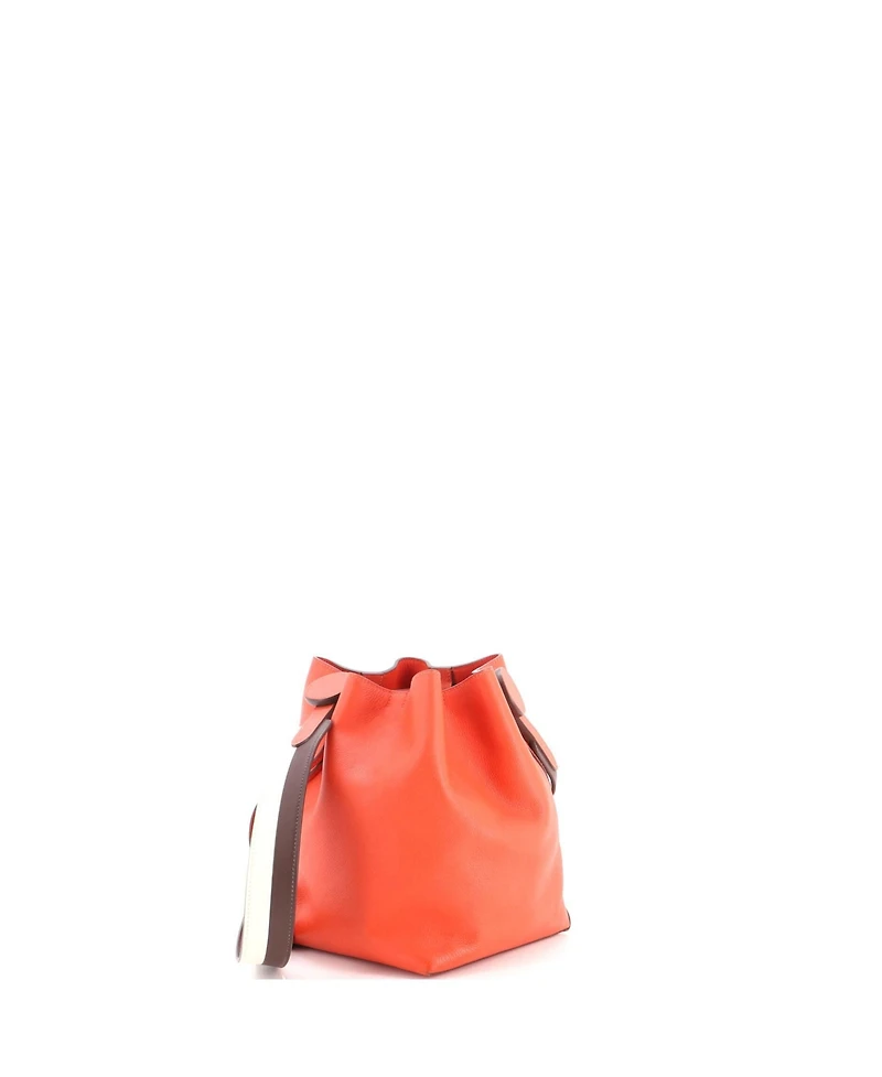 Pre-Owned Hermes 17 Licol Bag Evercolor