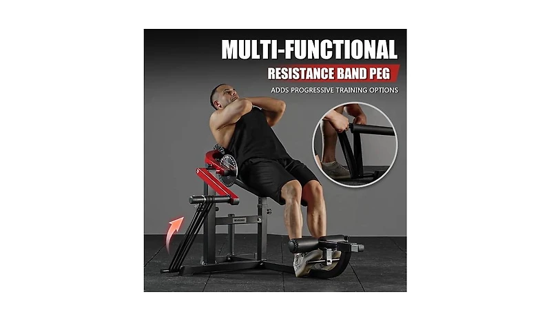 Syedee Seated Ab Curl/ Back Extension Machine, Plate Loaded Machine with 450lbs Weight Capacity, Home Gym for Core and Back Training