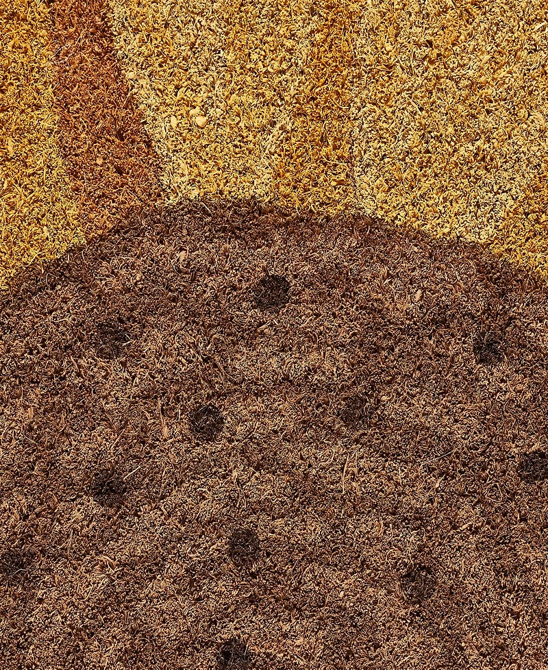 Vcny Home Sunflower Half Circle Outdoor Coir Doormat, 18" x 30"