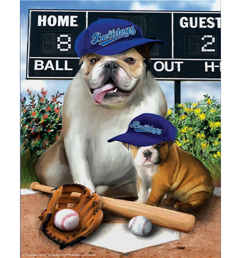 SunsOut Play Ball 300 Piece Jigsaw Puzzle, Ages 15+