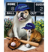 SunsOut Play Ball 300 Piece Jigsaw Puzzle, Ages 15+