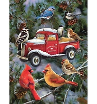 SunsOut Pickup Feeder 500 Piece Interlocking Jigsaw Puzzle, Ages 15+