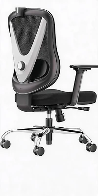 gaomon Ergonomic Y-Frame Office Chair with Lumbar Support, Adjustable Swivel, Padded Seat, Smooth Casters for Home and Living Room Use