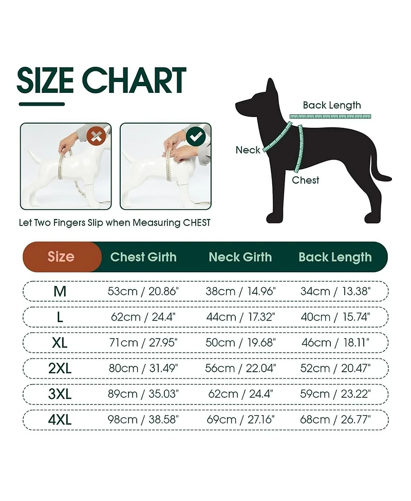 Soft Recovery Suit with Rear Leg Sleeve and Abdominal Coverage for Dogs
