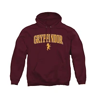 Harry Potter Men's Gryffindor Arched Lion Graphic Long-Sleeve Hoodie
