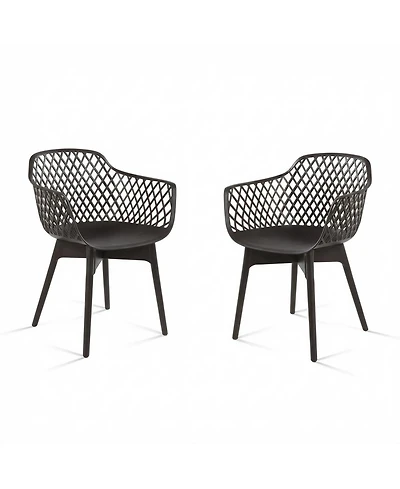 Aoodor Modern Dining Chairs Set of 2, Weather-Resistant Plastic Cafe with Ergonomic Back and Non-Slip Pad, Suitable for Patio, Restaurant