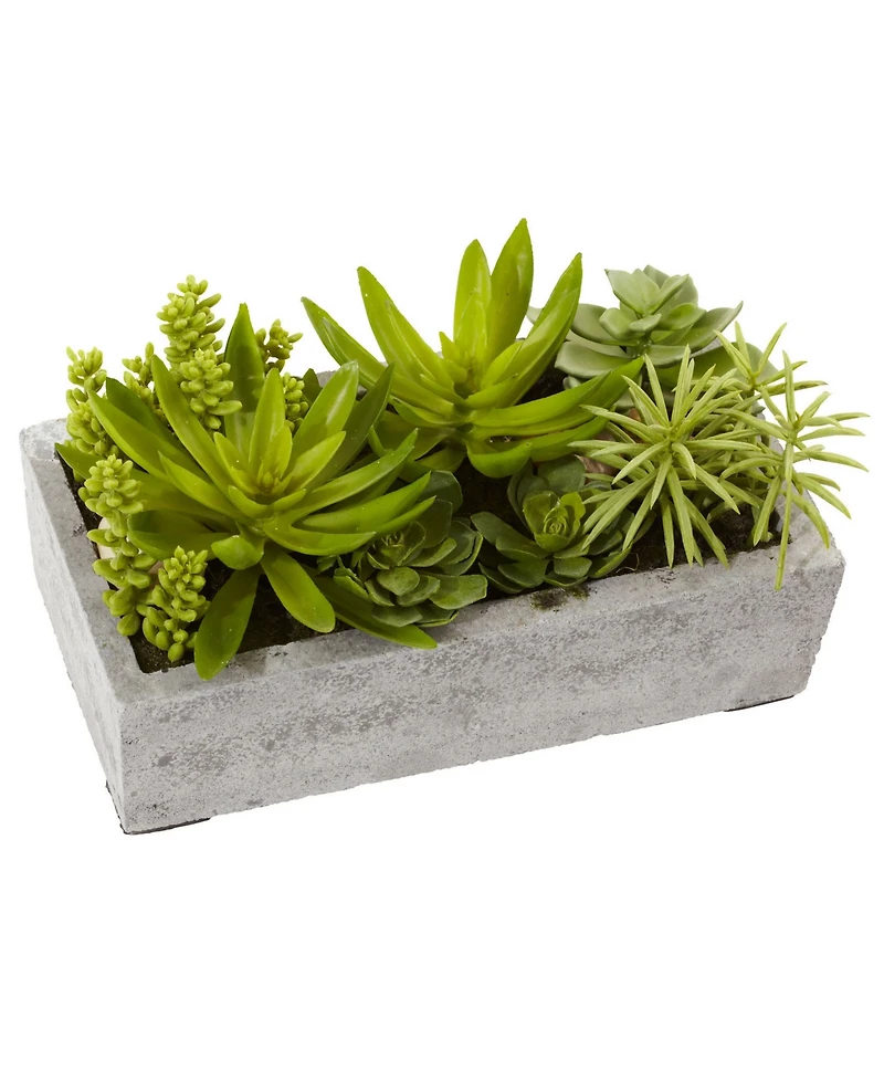 Nearly Natural Artificial Succulent Garden with Concrete Planter