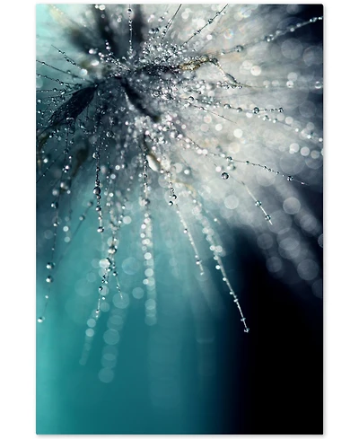 Beata Czyzowska Young 'Morning Sonata' 30" x 47" Canvas Wall Art