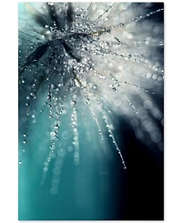 Beata Czyzowska Young 'Morning Sonata' 30" x 47" Canvas Wall Art