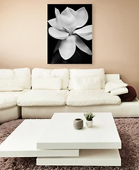 Michael Harrison 'Magnolia' Canvas Art