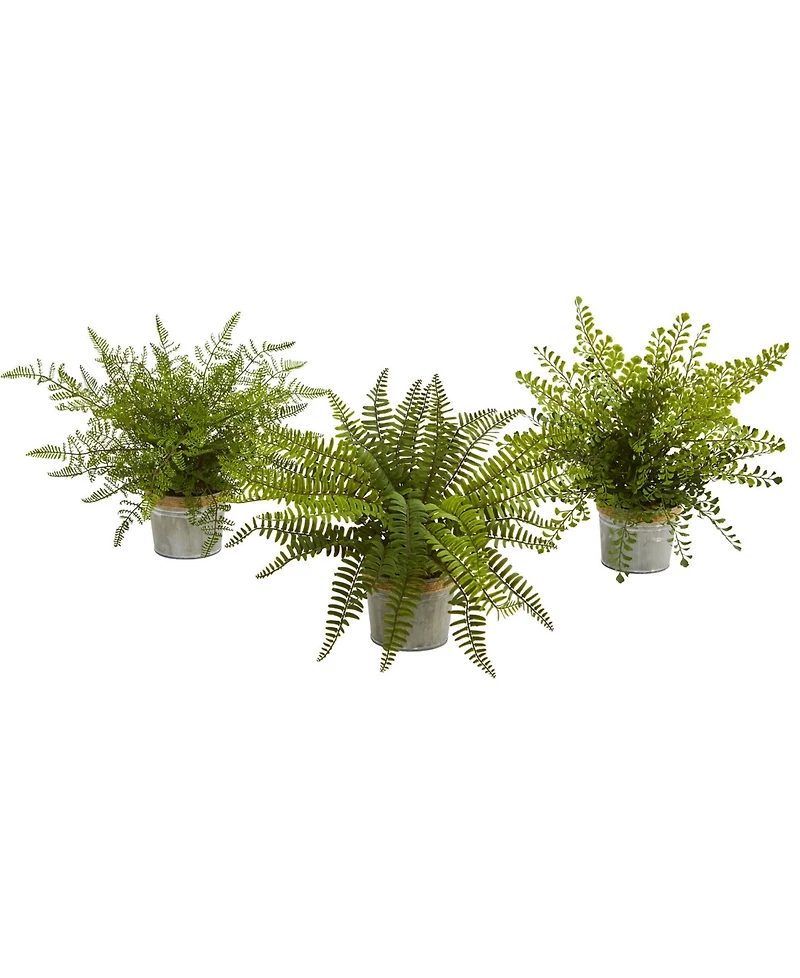 Nearly Natural 14'' Assorted Ferns with Planter Artificial Plant, Set of 3