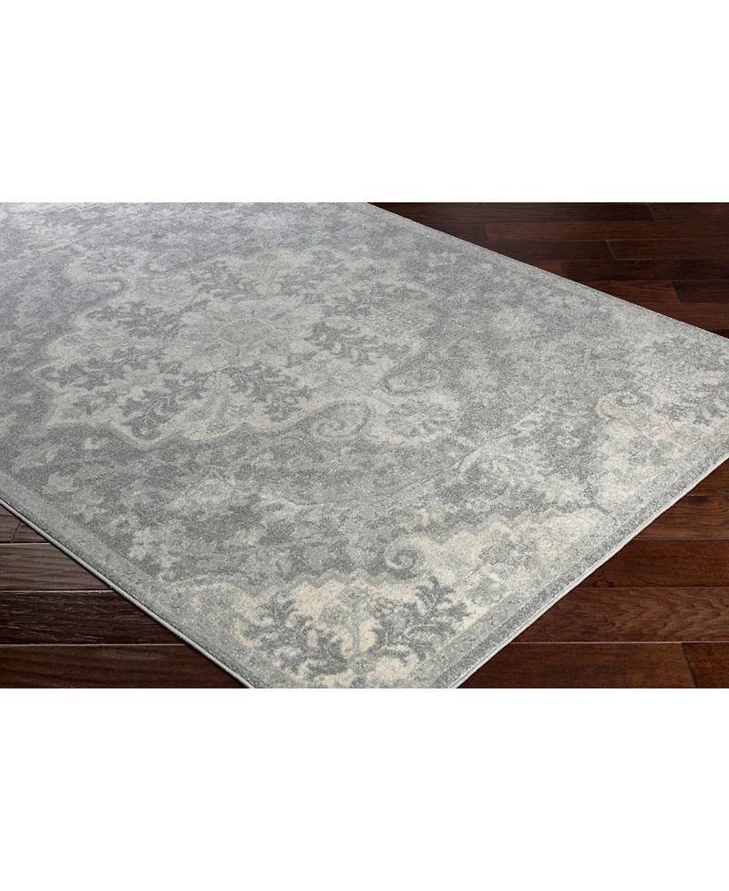 Livabliss Harput Hap-1070 Light Gray 2' x 3' Area Rug