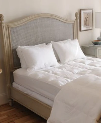 Beyond Down Synthetic 2 Pack Pillows