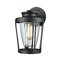 Fullerton 1 Light Outdoor Wall Sconce in Matte Black with Clear Glass