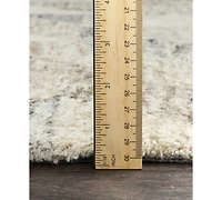 Surya Falcon Flc-8002 Camel 2' x 3' Area Rug