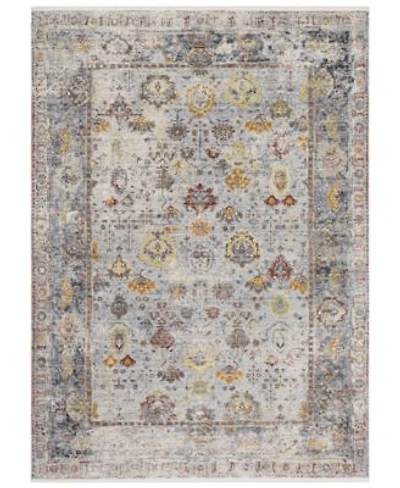 Livabliss Liverpool Lvp 2300 Charcoal Area Rug Collection