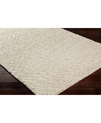 Surya Neravan Ner-1001 Cream 2' x 3' Area Rug