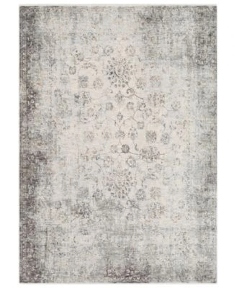 Livabliss Presidential Pdt Medium Gray Area Rug Collection