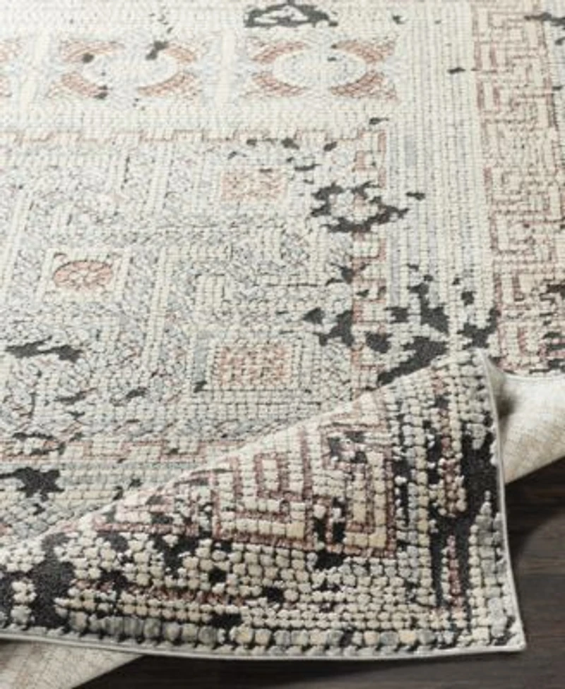 Livabliss Venezia Vnz 2301 Rose Area Rug Collection