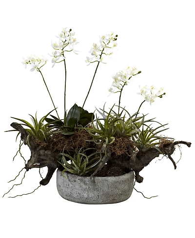 Nearly Natural Orchid and Succulent Garden w/ Driftwood and Decorative Vase