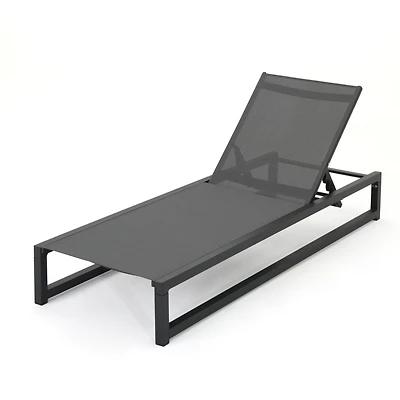 Modesta Outdoor Chaise Lounge