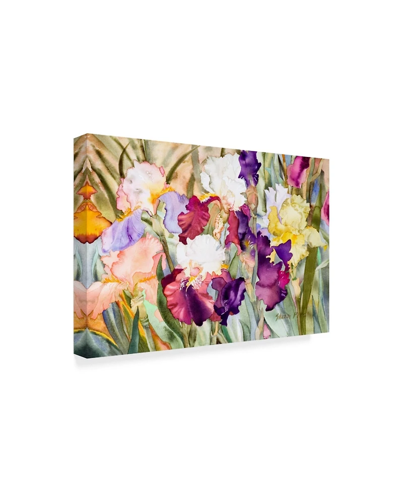 Sharon Pitts 'Iris Garden 1' Canvas Art - 24" x 16"