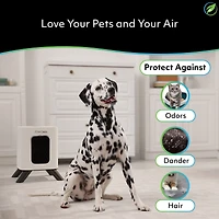 Air Oasis iAdaptAir 2.0 Small – 1,325 Sq Ft Coverage, 5-in-1 Purification, With 177 Cfm