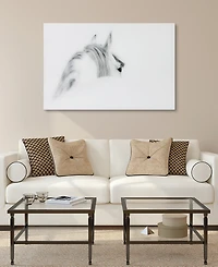 Empire Art Direct 'Blanco Mare Horse' Frameless Free Floating Tempered Glass Panel Graphic Wall Art - 48" x 32''