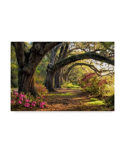 Danny Head Under the Live Oaks I Canvas Art - 15" x 20"