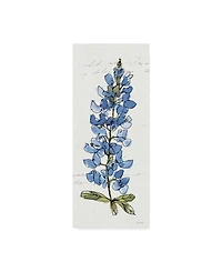 Anne Tavoletti Texas Bluebonnet Iii Canvas Art - 20" x 25"