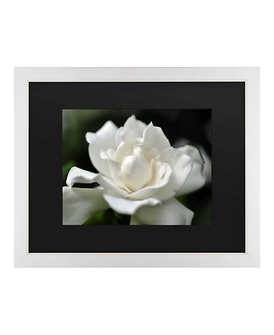 Kurt Shaffer Lovely Gardenia Matted Framed Art - 20" x 25"