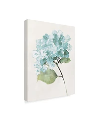 Wild Apple Portfolio Antique Floral on Cream I Blue Canvas Art - 20" x 25"