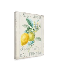 Danhui Nai Floursack Lemon Ii Canvas Art - 20" x 25"