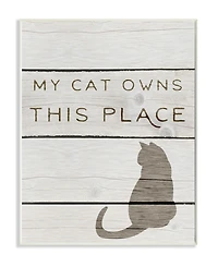 Stupell Industries My Cat Owns This Place Wall Plaque Art, 10" x 15"
